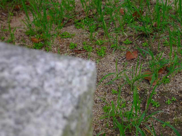 f:id:congiro:20120831233040j:image