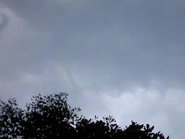 f:id:congiro:20120901002315j:image