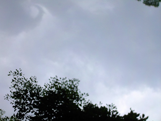 f:id:congiro:20120901002316j:image