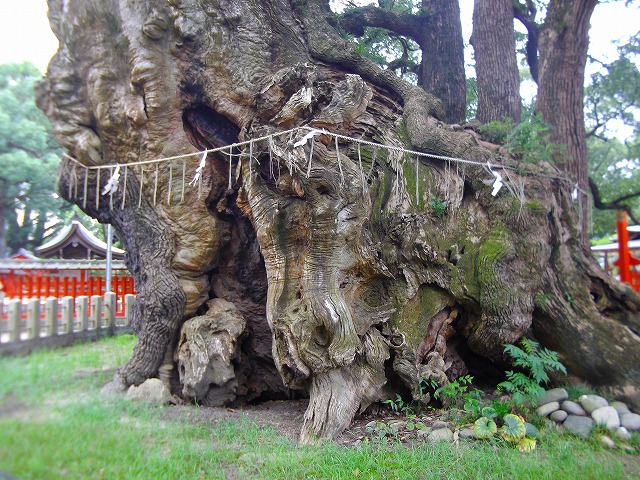 f:id:congiro:20120901002319j:image