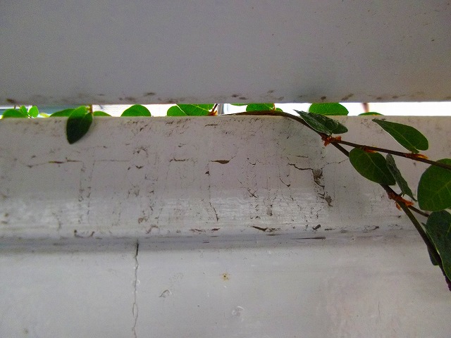 f:id:congiro:20120925221831j:image