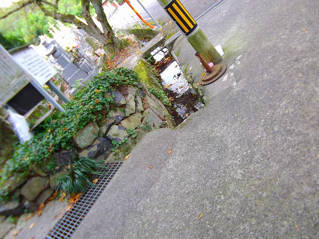 f:id:congiro:20121009235433j:image f:id:congiro:20121009235433j:image