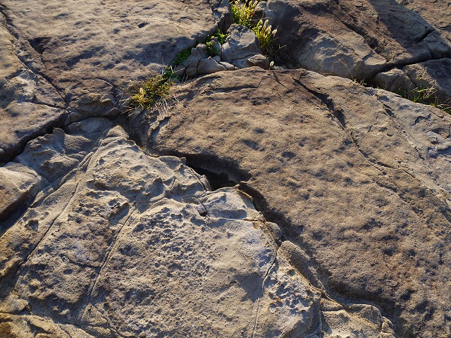 f:id:congiro:20121010000934j:image f:id:congiro:20121010000934j:image