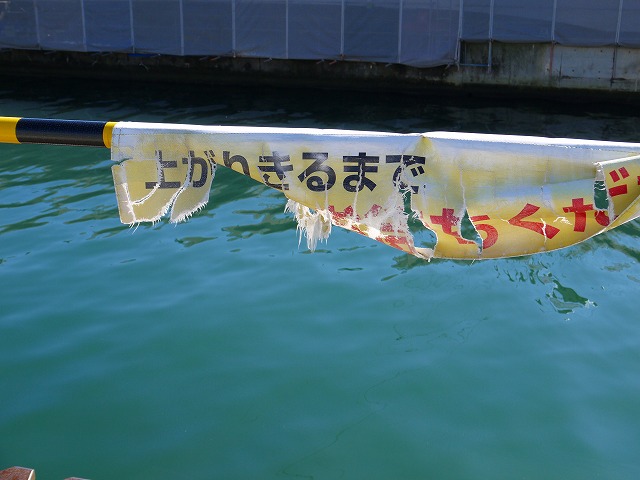 f:id:congiro:20121010002314j:image
