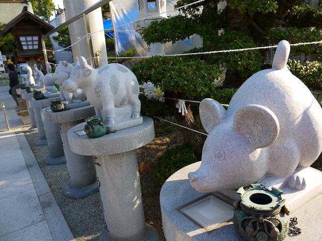f:id:congiro:20121010221808j:image