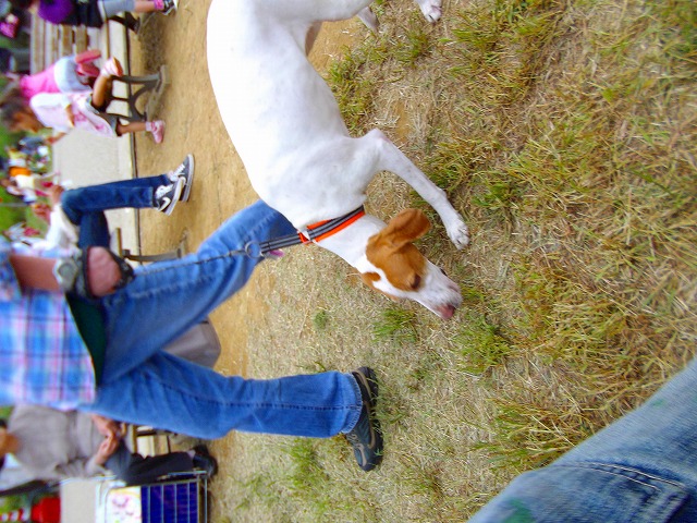 f:id:congiro:20121014225433j:image