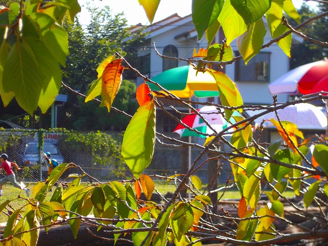 f:id:congiro:20121021003829j:image