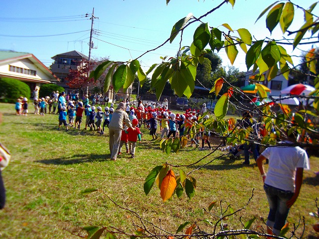 f:id:congiro:20121021003830j:image