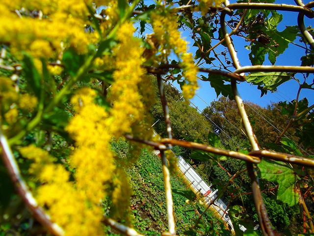 f:id:congiro:20121021003837j:image