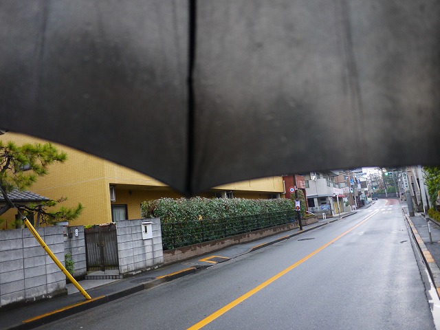 f:id:congiro:20121126221226j:image