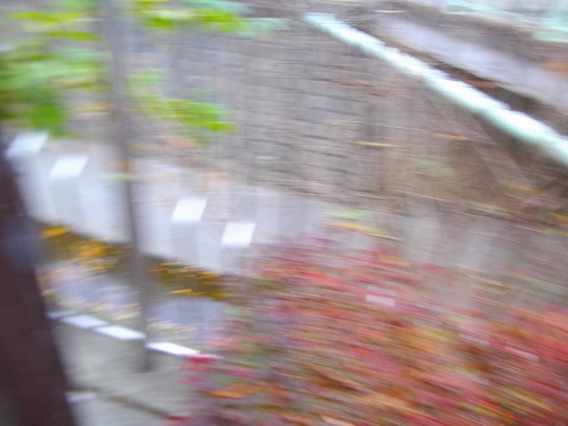 f:id:congiro:20121203004504j:image