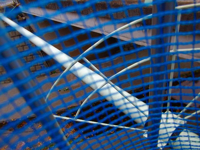 f:id:congiro:20121203004506j:image