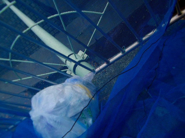 f:id:congiro:20121203004507j:image