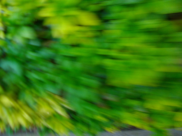 f:id:congiro:20121203004508j:image