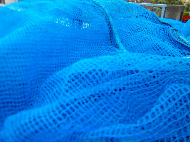 f:id:congiro:20121203004513j:image