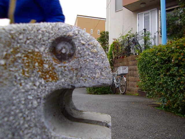 f:id:congiro:20121203004515j:image