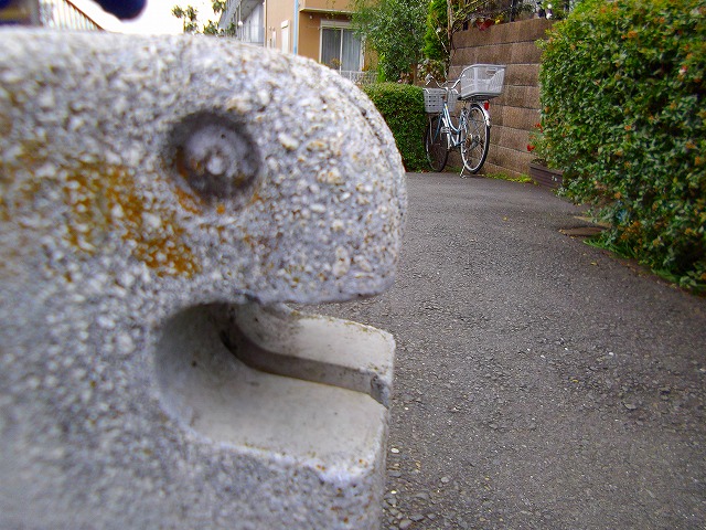 f:id:congiro:20121203004516j:image