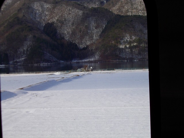 f:id:congiro:20121230113344j:image f:id:congiro:20121230113344j:image