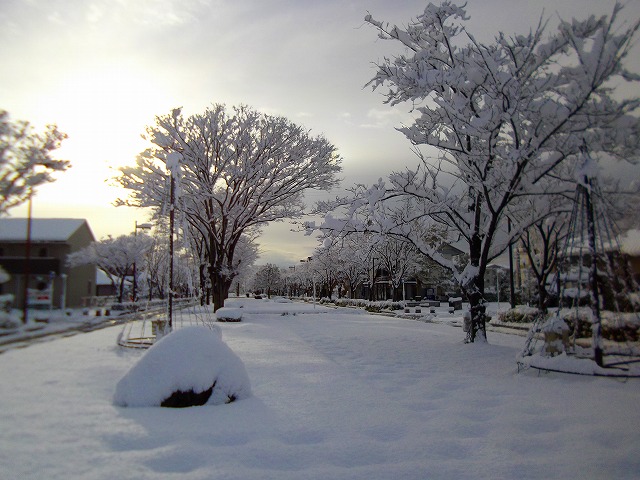 f:id:congiro:20121230171045j:image f:id:congiro:20121230171045j:image