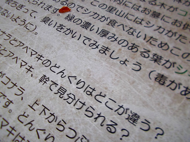 f:id:congiro:20121230210157j:image