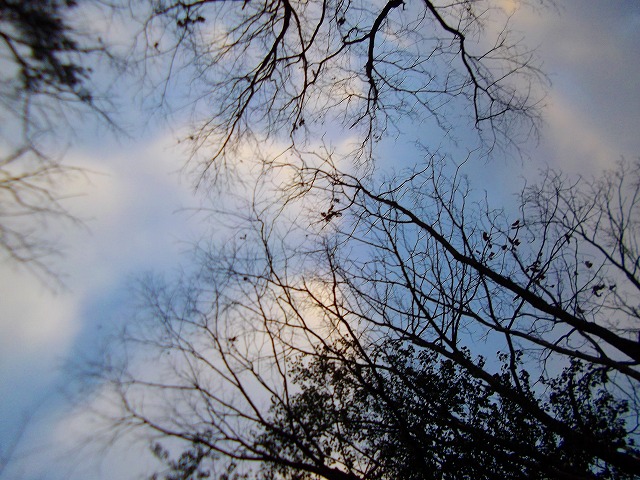 f:id:congiro:20121230210158j:image