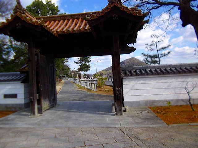 f:id:congiro:20121230210402j:image