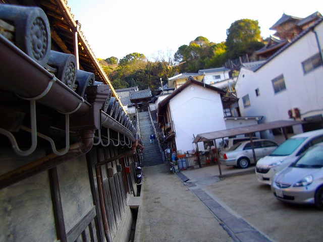 f:id:congiro:20121230214225j:image