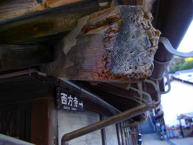 f:id:congiro:20121230214226j:image