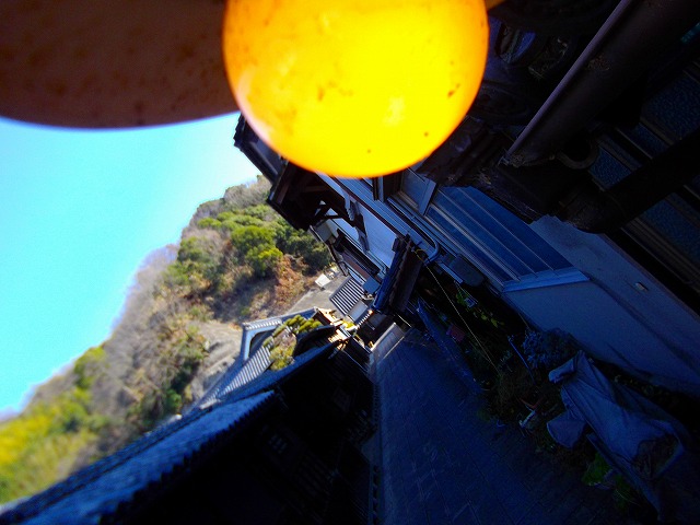 f:id:congiro:20121230214235j:image