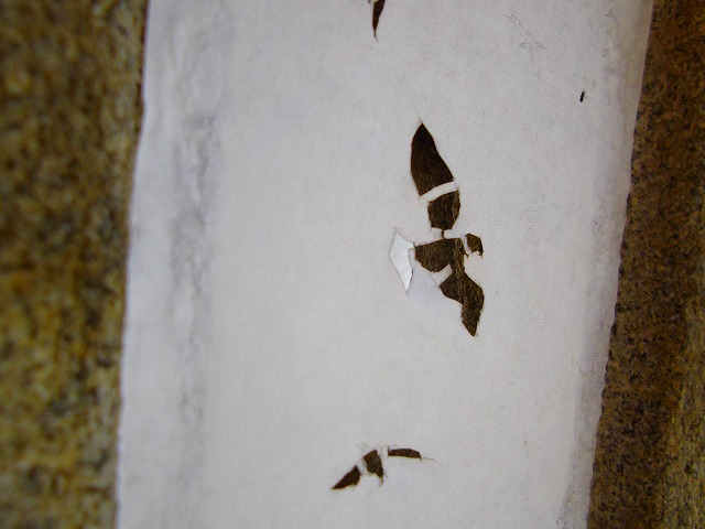 f:id:congiro:20121230214241j:image