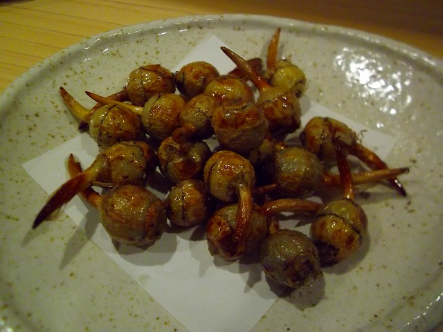 f:id:congiro:20121230214253j:image