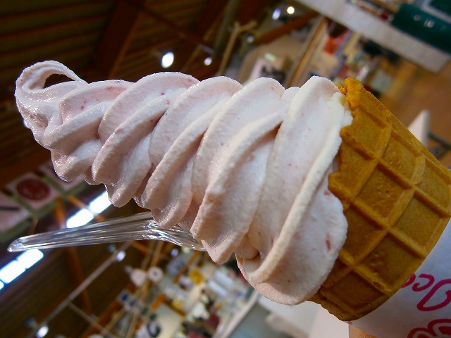 f:id:congiro:20130104170117j:image