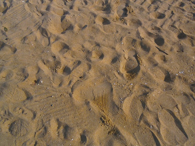 f:id:congiro:20130107162144j:image