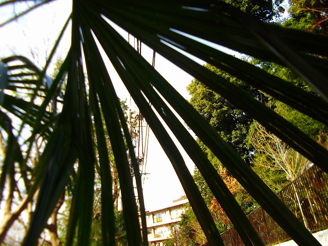 f:id:congiro:20130114115032j:image