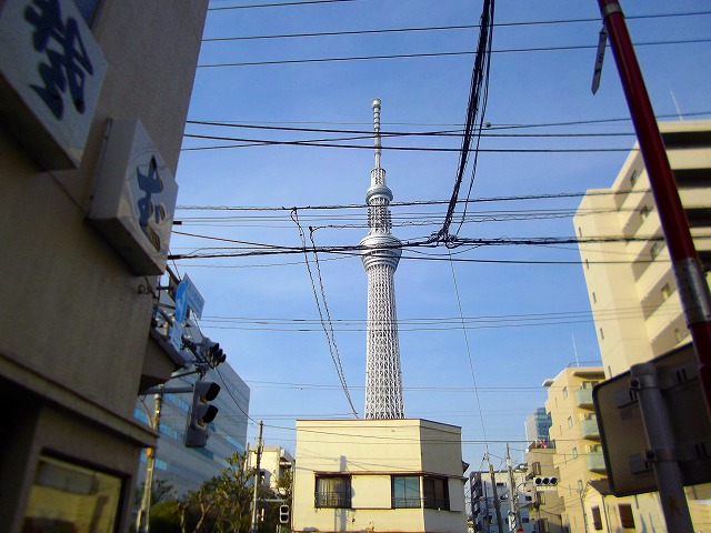 f:id:congiro:20130114115045j:image