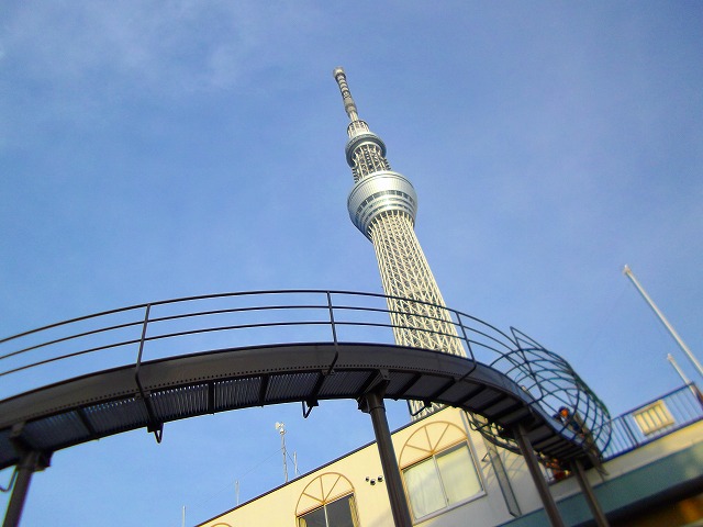 f:id:congiro:20130114115051j:image