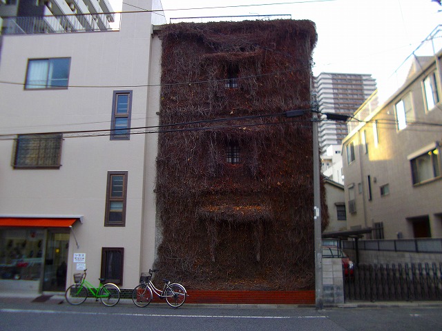 f:id:congiro:20130114115052j:image