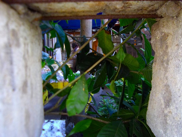 f:id:congiro:20130121012624j:image