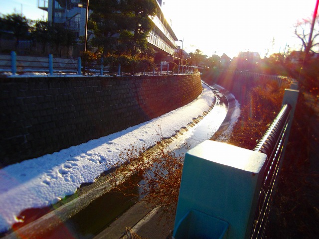 f:id:congiro:20130121012646j:image