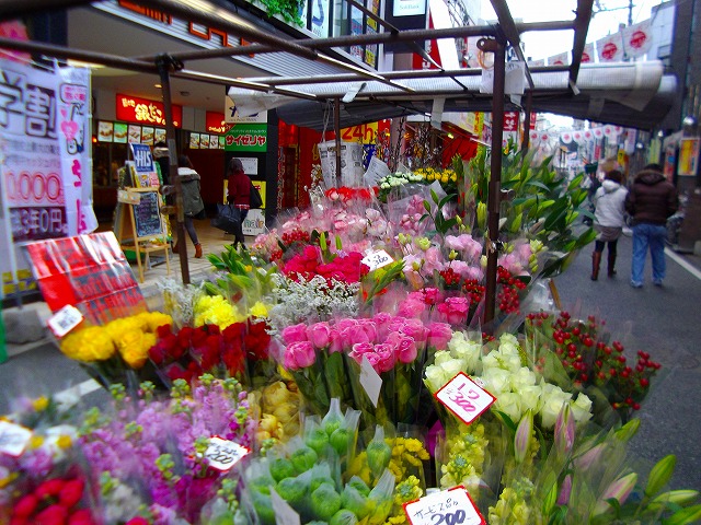 f:id:congiro:20130126011820j:image