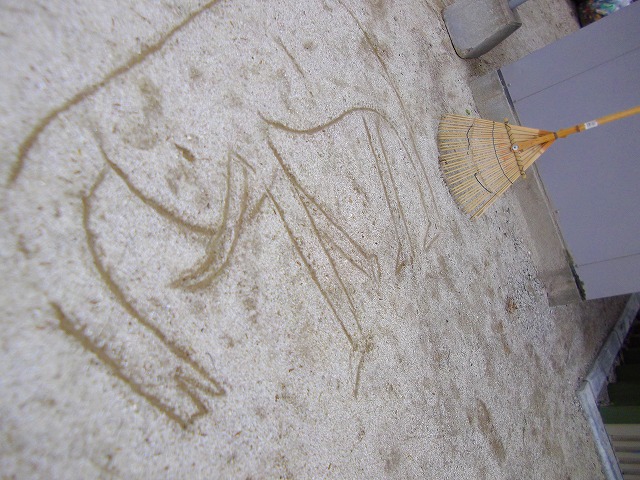 f:id:congiro:20130128005041j:image