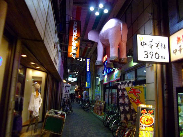 f:id:congiro:20130207115749j:image