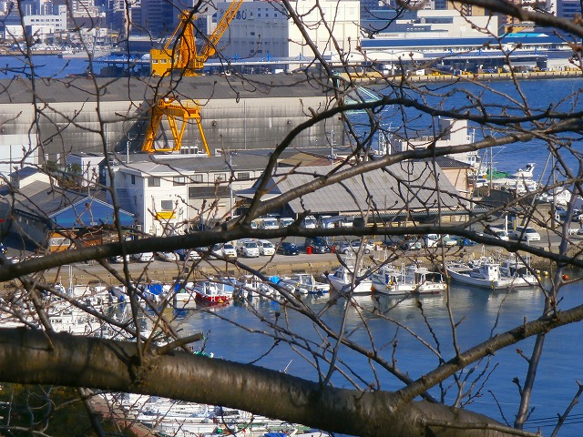 f:id:congiro:20130212004012j:image
