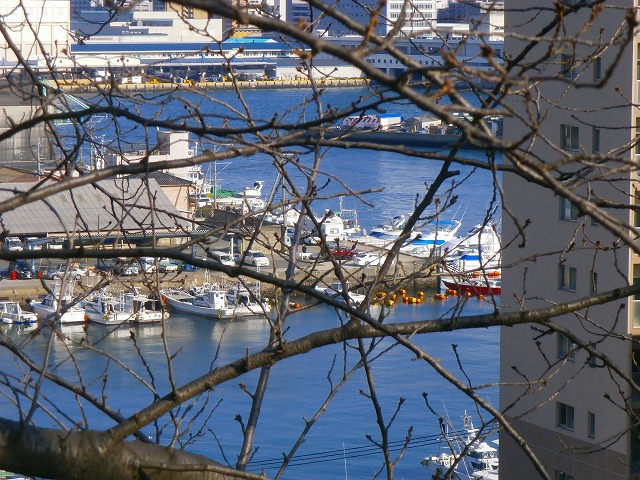 f:id:congiro:20130212004013j:image