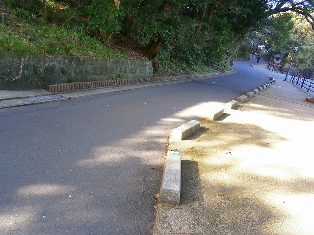 f:id:congiro:20130212004017j:image