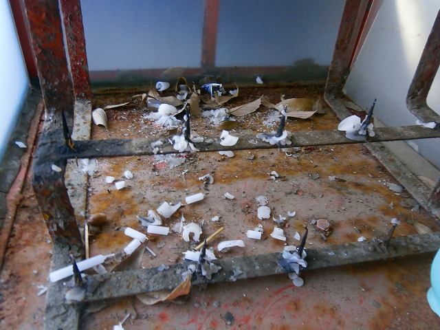 f:id:congiro:20130212004023j:image