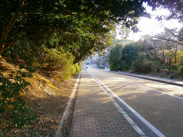 f:id:congiro:20130212004026j:image
