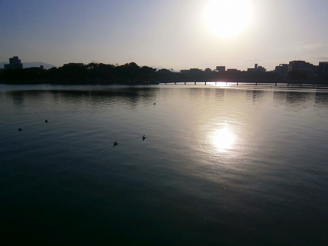 f:id:congiro:20130212004027j:image