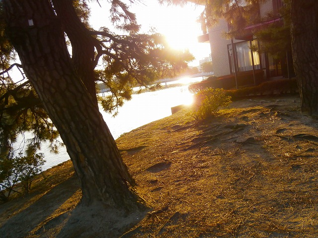 f:id:congiro:20130212004035j:image