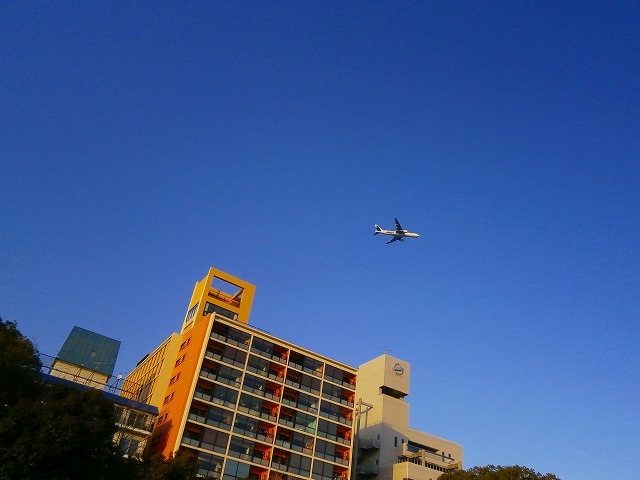 f:id:congiro:20130212004036j:image